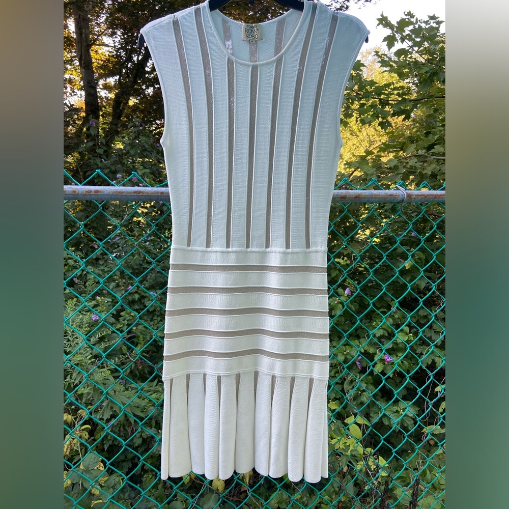 Torn by Ronny Kobo White and Gray Striped Dress